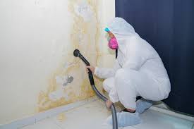 Best Crawl Space Mold Remediation  in Langley, WA